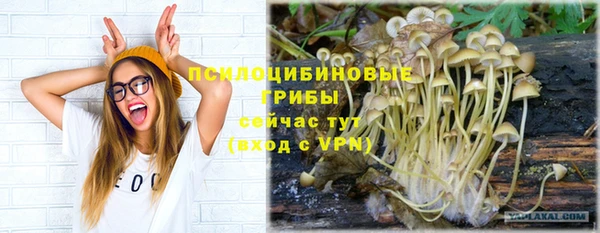 марихуана Абаза