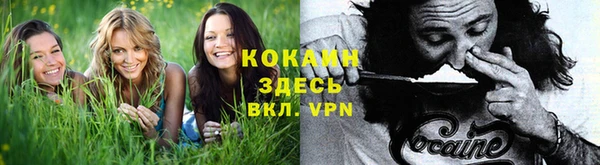 марихуана Абаза