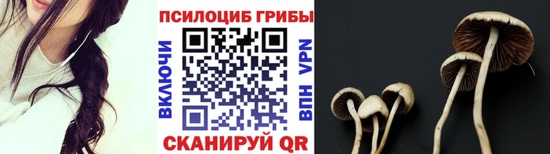 Псилоцибиновые грибы MAGIC MUSHROOMS  нарко площадка Telegram  Анадырь  ОМГ ОМГ вход 